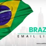 Brazil Email List