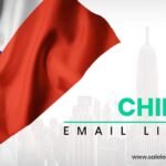 Chile Email List - 2.5 Million Emails